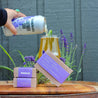 Moody Ales & Co x Fersk: Lavender Sour Soap